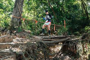 BIB: 
                            <button type="button" onclick="openModal(27800566)" class="btn btn-primary btn-sm float-right btn-popup" data-toggle="modal" data-target=".modal-high-quality">
                        <i class="fas fa-shopping-cart"></i> Add to Cart
                    </button>
                                            <button type="button" onclick="isThisMe(27800566, true)" class="btn btn-success btn-sm float-right btn-popup btn-isme hidden" data-toggle="tooltip" data-placement="bottom" title="นี่คือรูปของคุณใช่ไหม คลิกที่นี่เพื่อเอาเข้าอัลบั้ม">
                        <i class="fas fa-plus"></i> Add to album
                    </button>
                    <button type="button" onclick="isThisMe(27800566, false)" class="btn btn-warning btn-sm float-right btn-popup btn-isnotme hidden">
                        <i class="fas fa-ban"></i> Remove from album
                    </button>